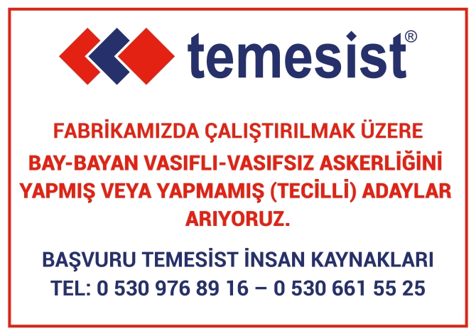 temesistt.jpg