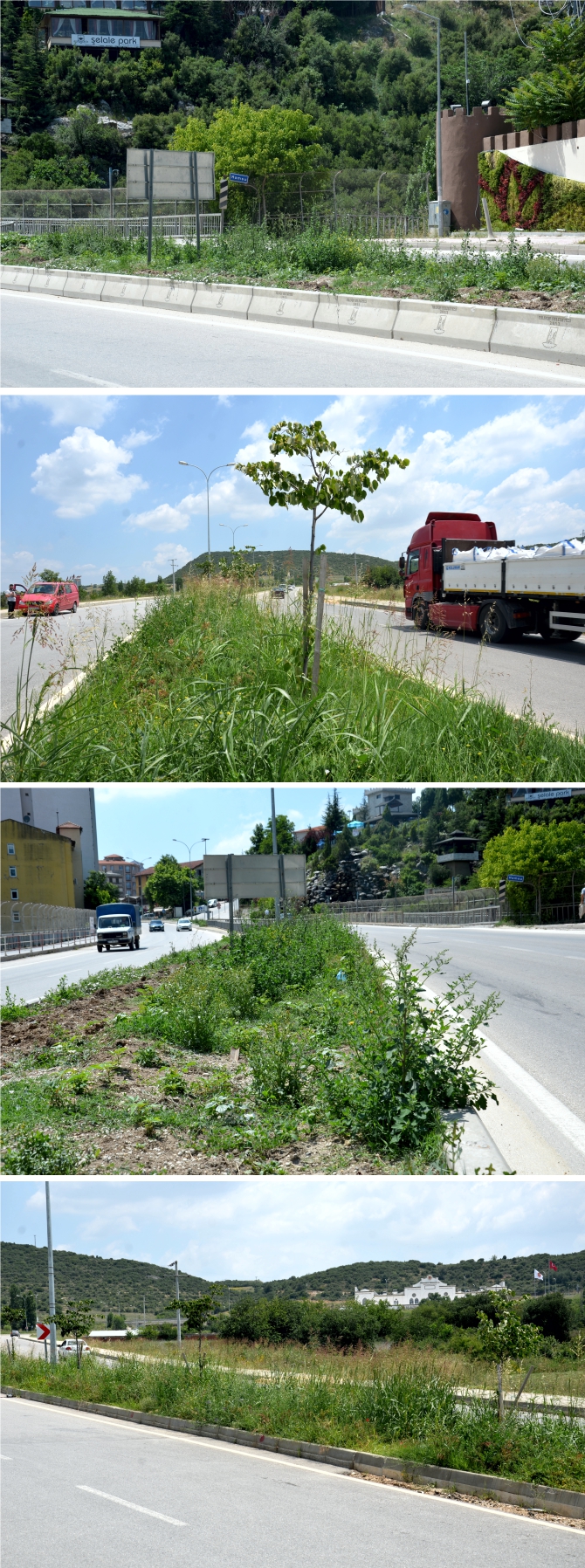 orta-refuju-ot-sardi1.jpg