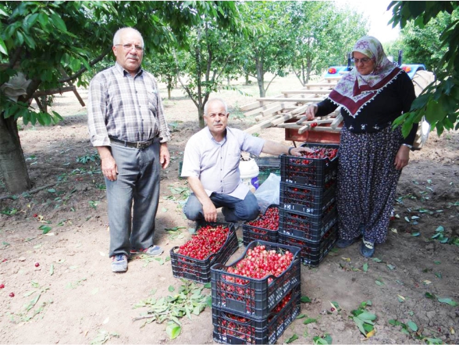 kiraz-ureticisi-tepkili1.jpg