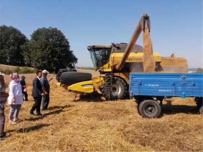 bugday-hasadi-basladi3.jpg