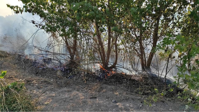 bayirkoy-yangin1.jpg