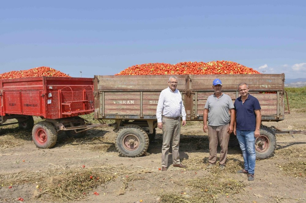 Karacabey’in “kırmızı elmas”ına talep çok