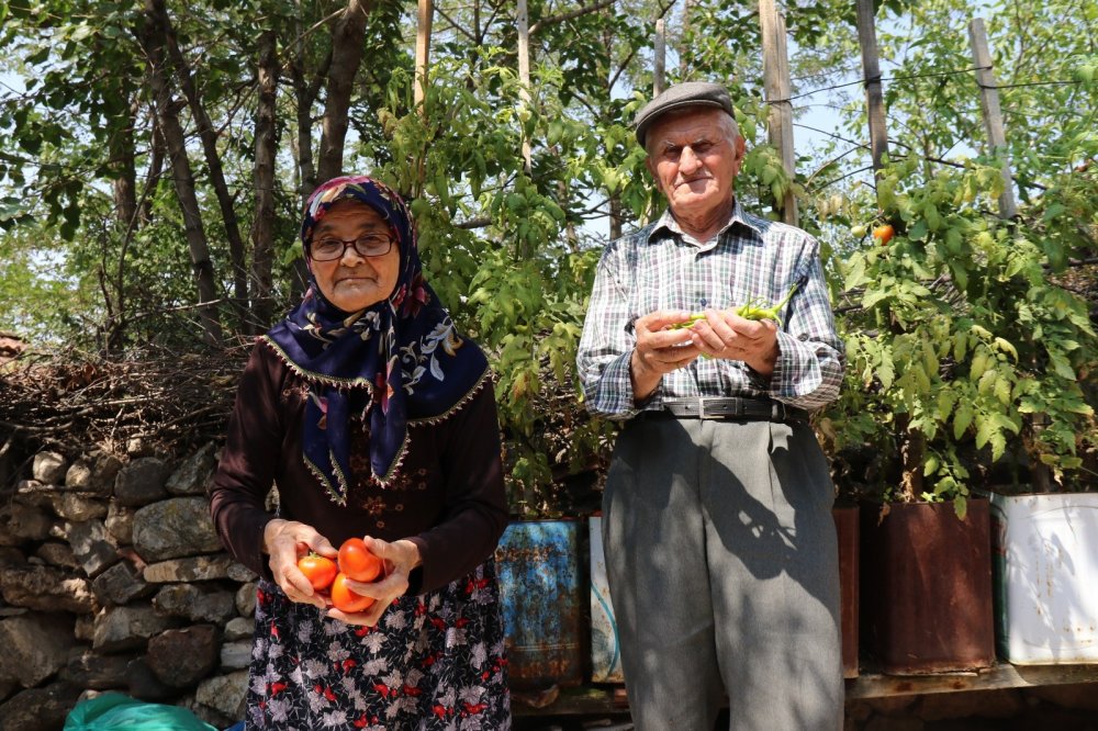 Bu ürünlerin nerede yetişeceğine şaşıracaksınız!