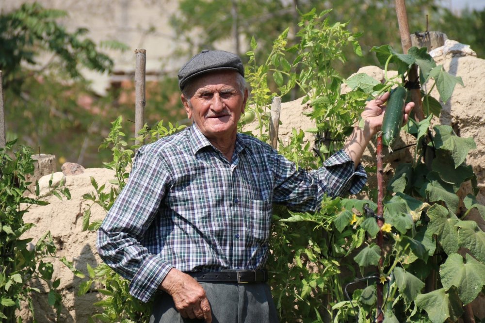 Bu ürünlerin nerede yetişeceğine şaşıracaksınız!