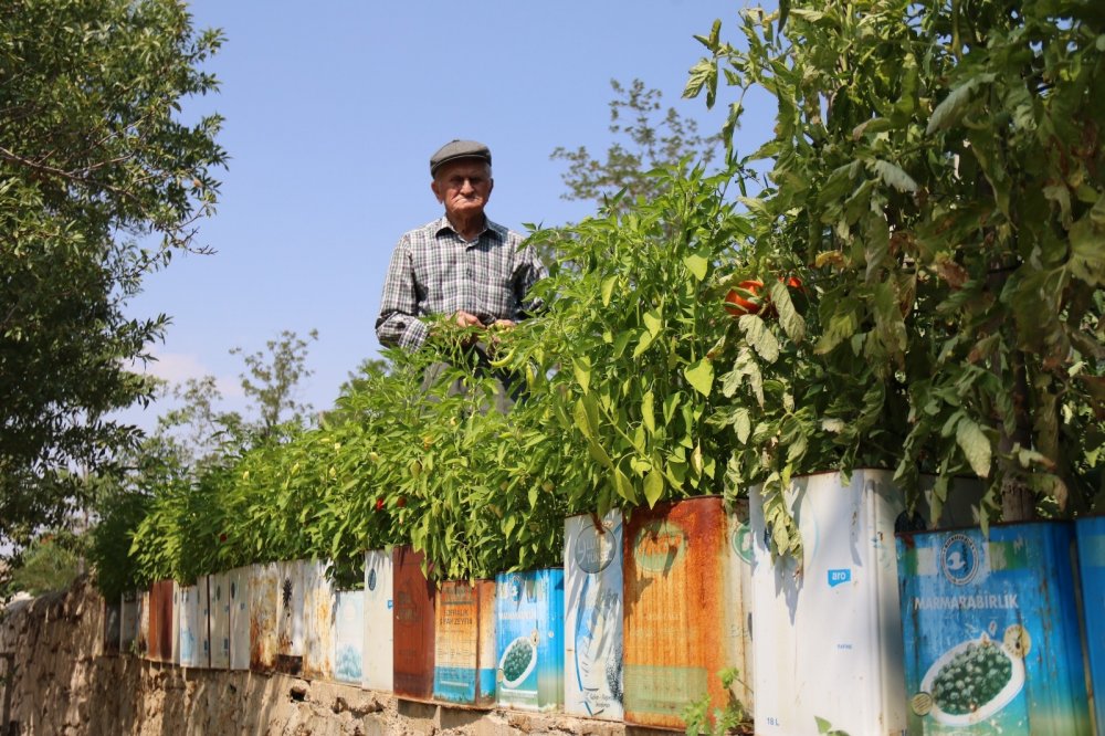 Bu ürünlerin nerede yetişeceğine şaşıracaksınız!