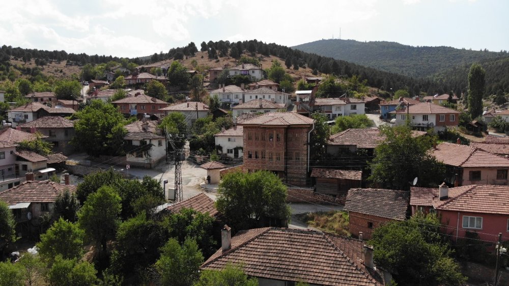 Bu köye gelen misafirler milyonluk konakta ücretsiz kalıyor