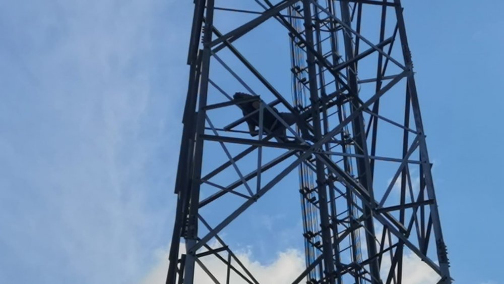 Çıktığı elektrik direğinde sızdı!