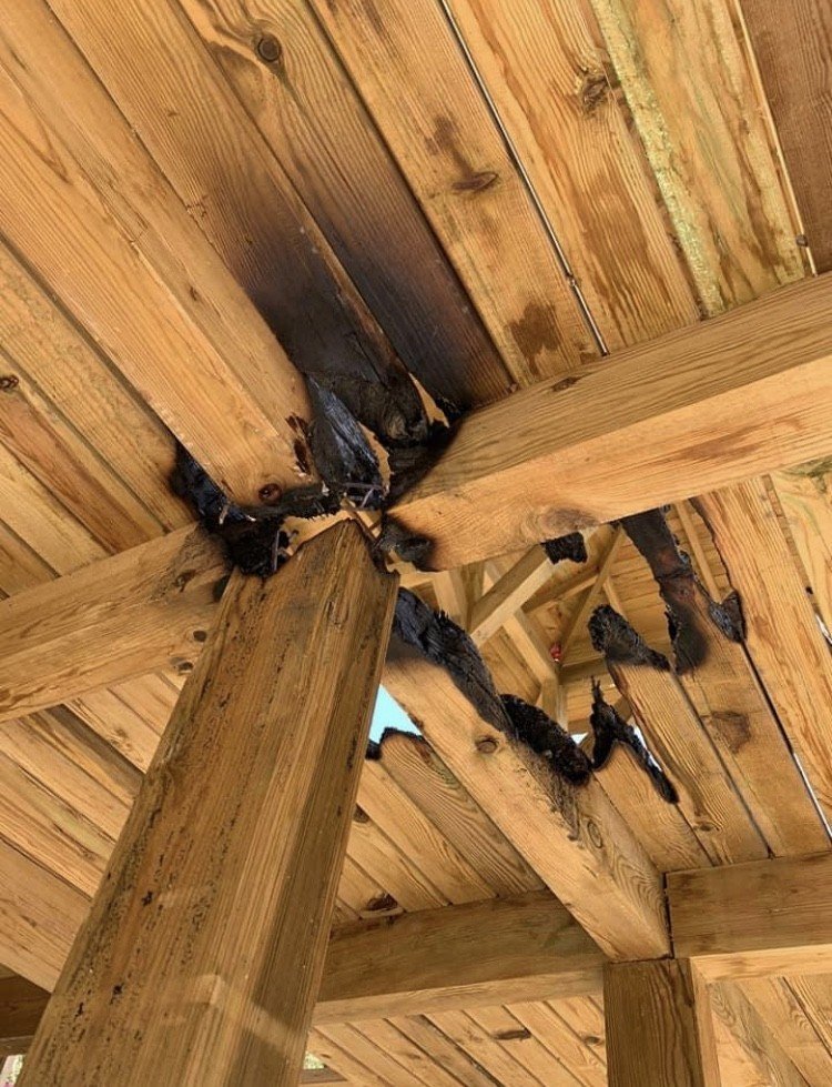 Daha yeni yapıldı! Yapılanlara bakın!