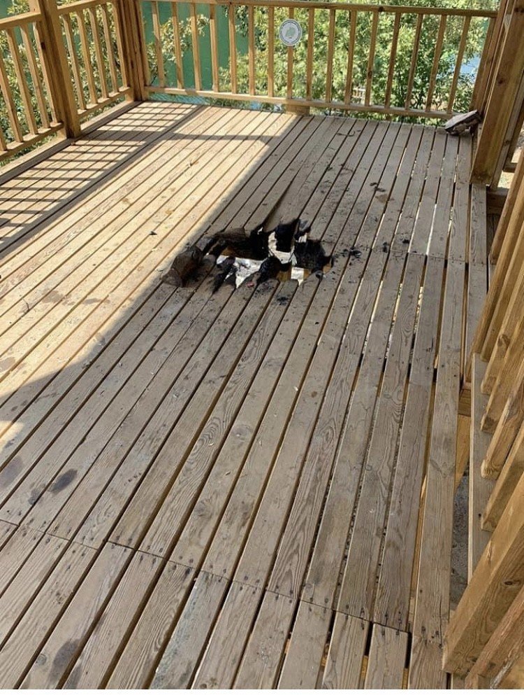 Daha yeni yapıldı! Yapılanlara bakın!