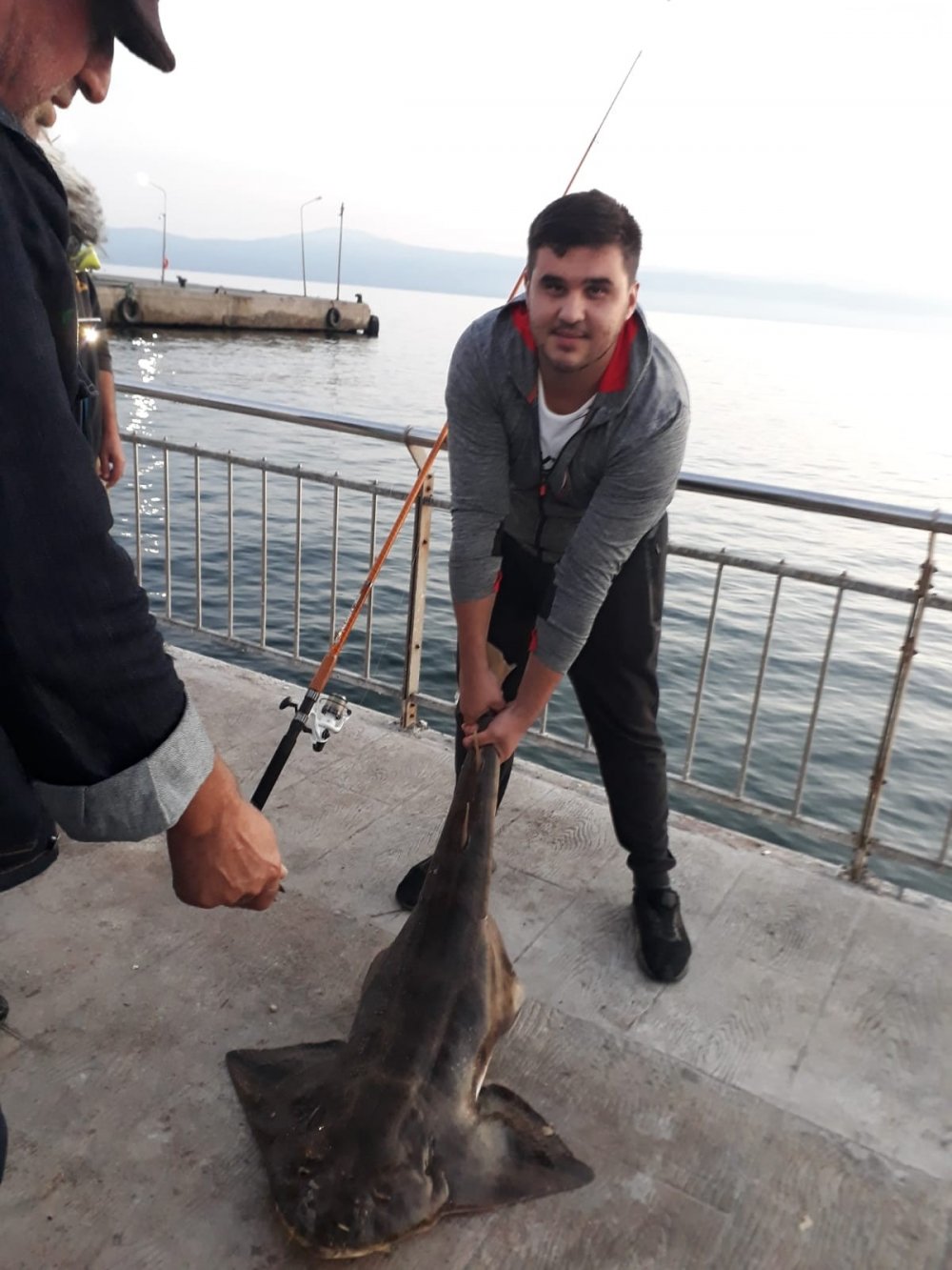 Oltaya takılan nesli tükenme tehlikesi altında olan balık denize bırakıldı