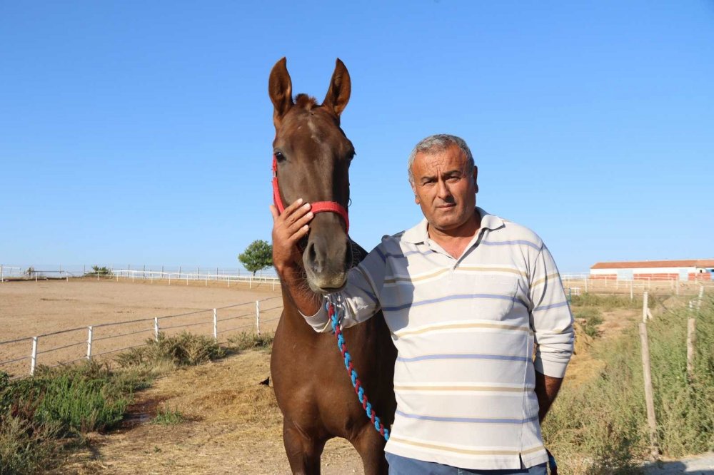 Bu özel taylar 900 bin liraya satılıyor