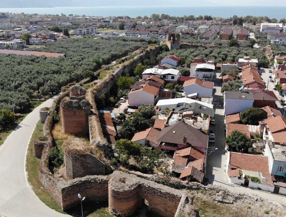 (Özel) 2 bin yıllık surların içinden çıktı, kimse koparmaya kıyamadı