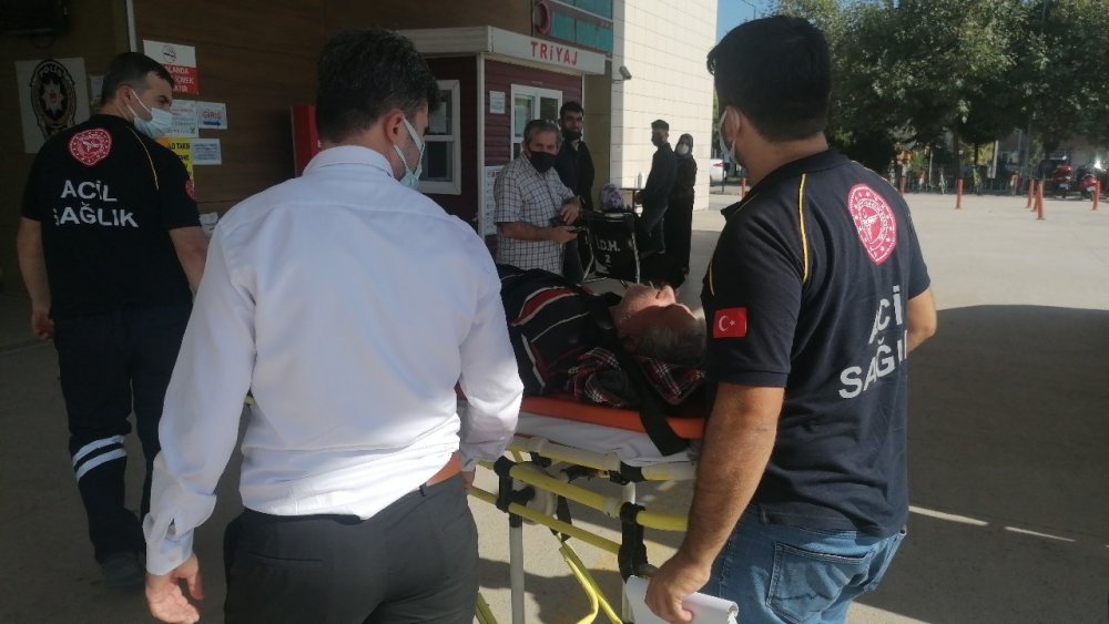 Yaşlı adam ceviz ağacının kurbanı oluyordu