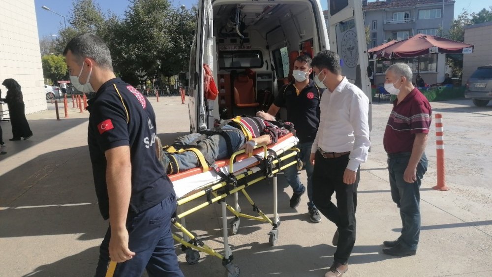 Yaşlı adam ceviz ağacının kurbanı oluyordu