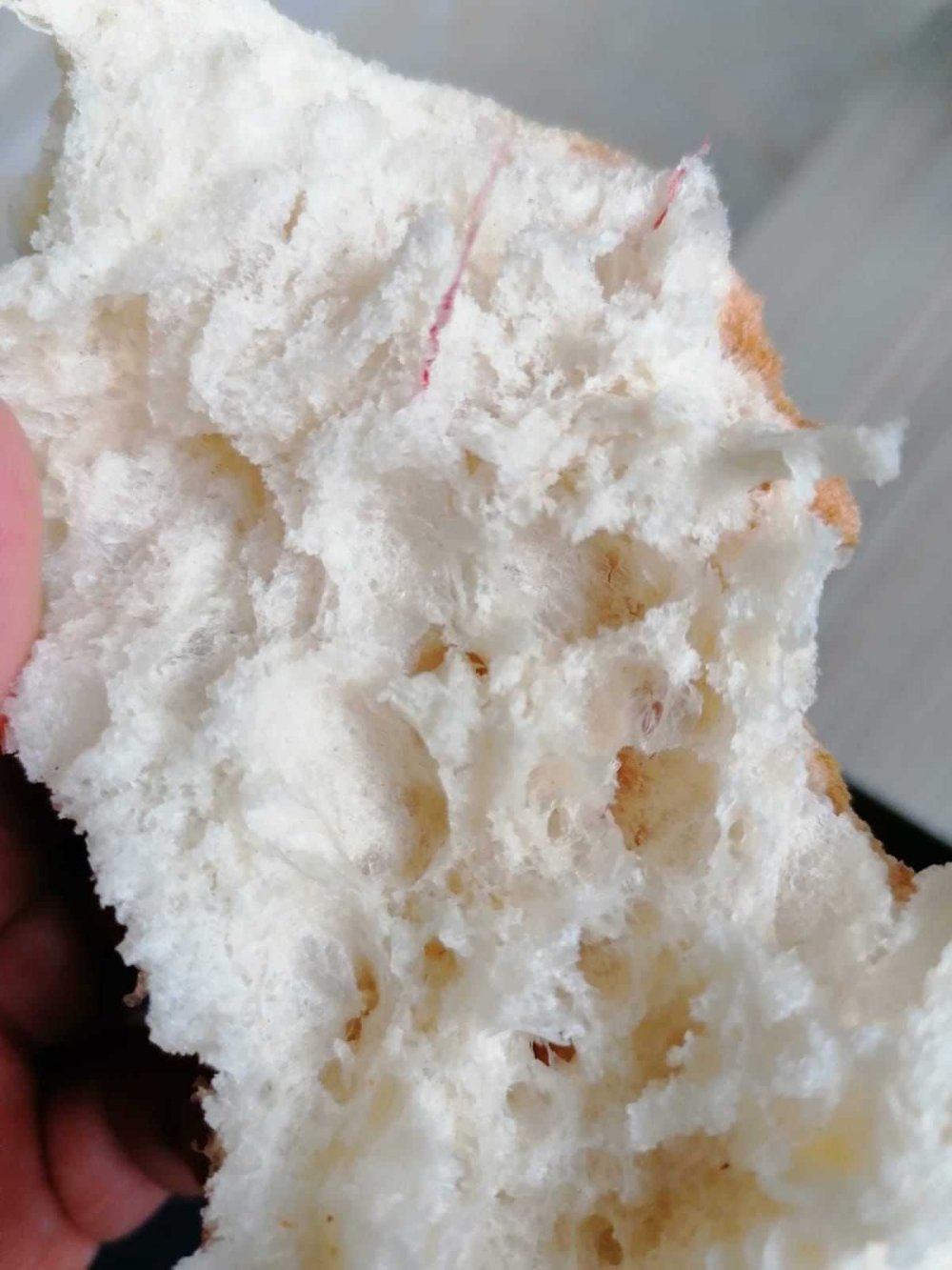 Ekmeğin içinden çıkanı görünce şok oldu!