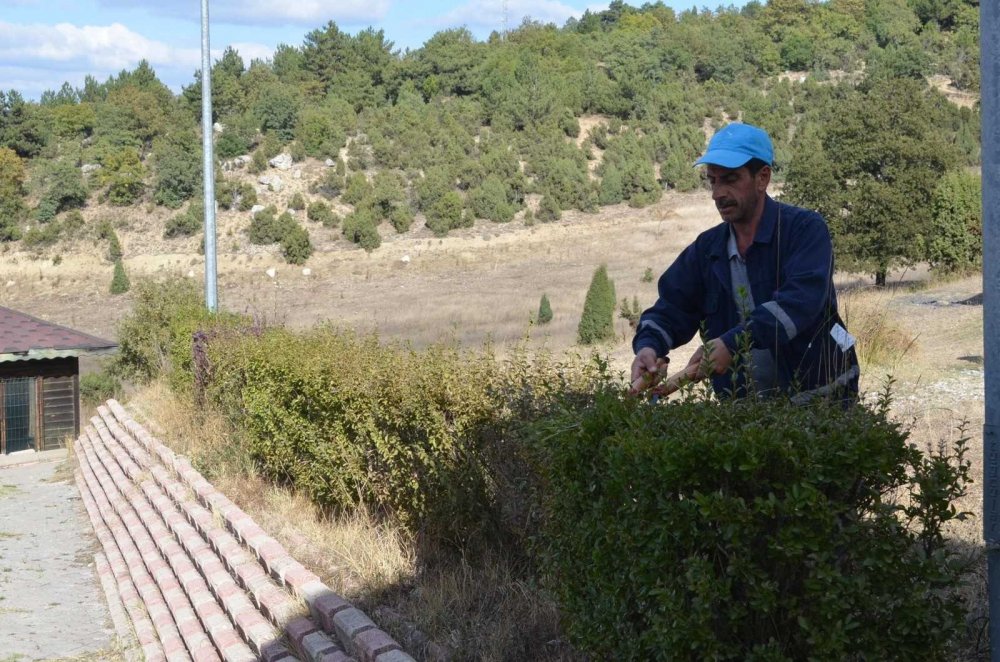 Bozüyük'te Temizlik ve Park Bakımları aralıksız devam ediyor!