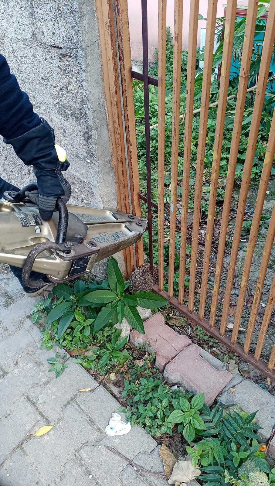 Demir parmaklıklara sıkışan kirpiyi itfaiye ekipleri kurtardı