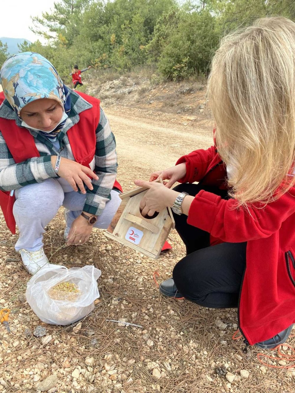 Ormanlık alana kuş kafesleri yerleştirerek hayvanlar için kaplara yem ve su koydular