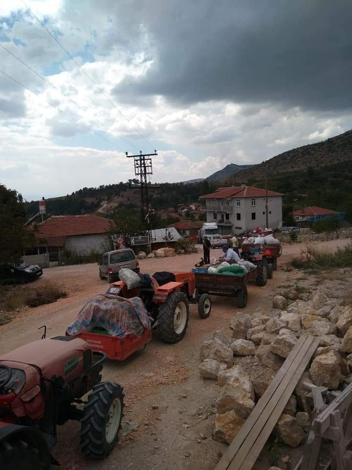 Gölpazarı'nda ceviz hasadı yüz güldürdü