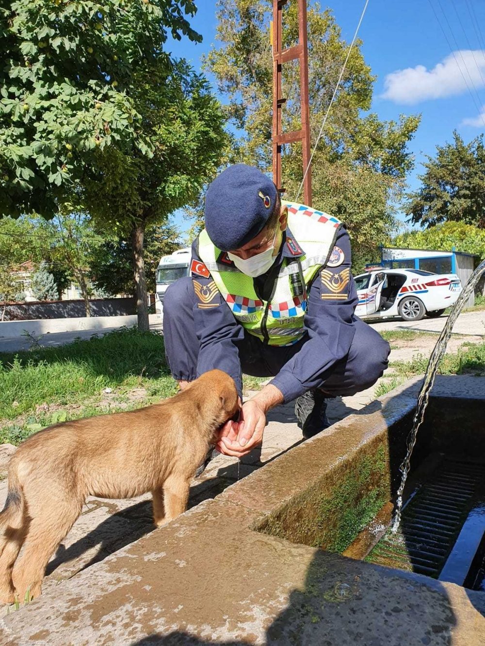 Jandarma sokak hayvanları unutmadı