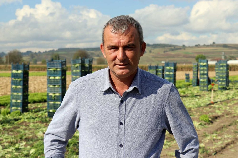 Tarlada 50 kuruş, markette 8 lira