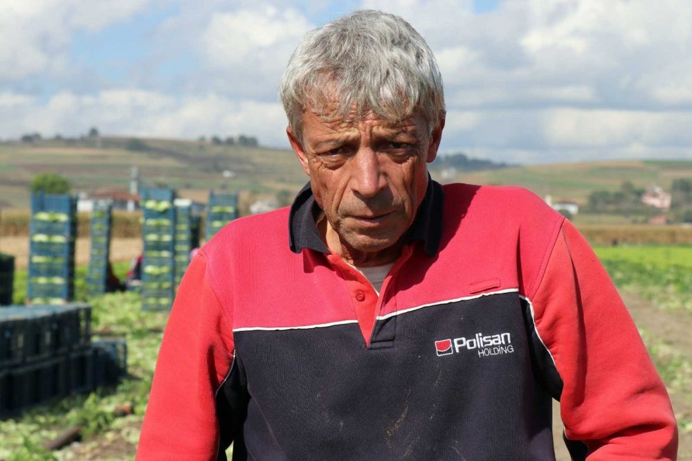 Tarlada 50 kuruş, markette 8 lira