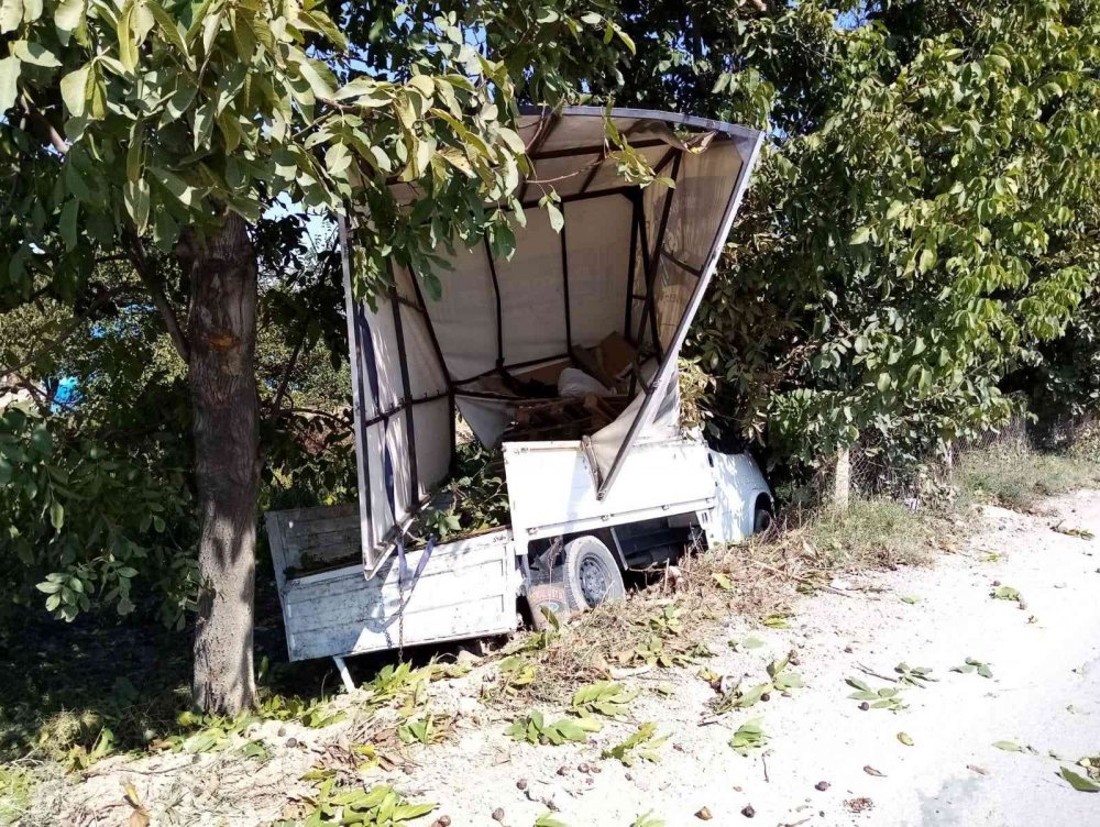 Kontrolden çıkan kamyonet bahçeye daldı