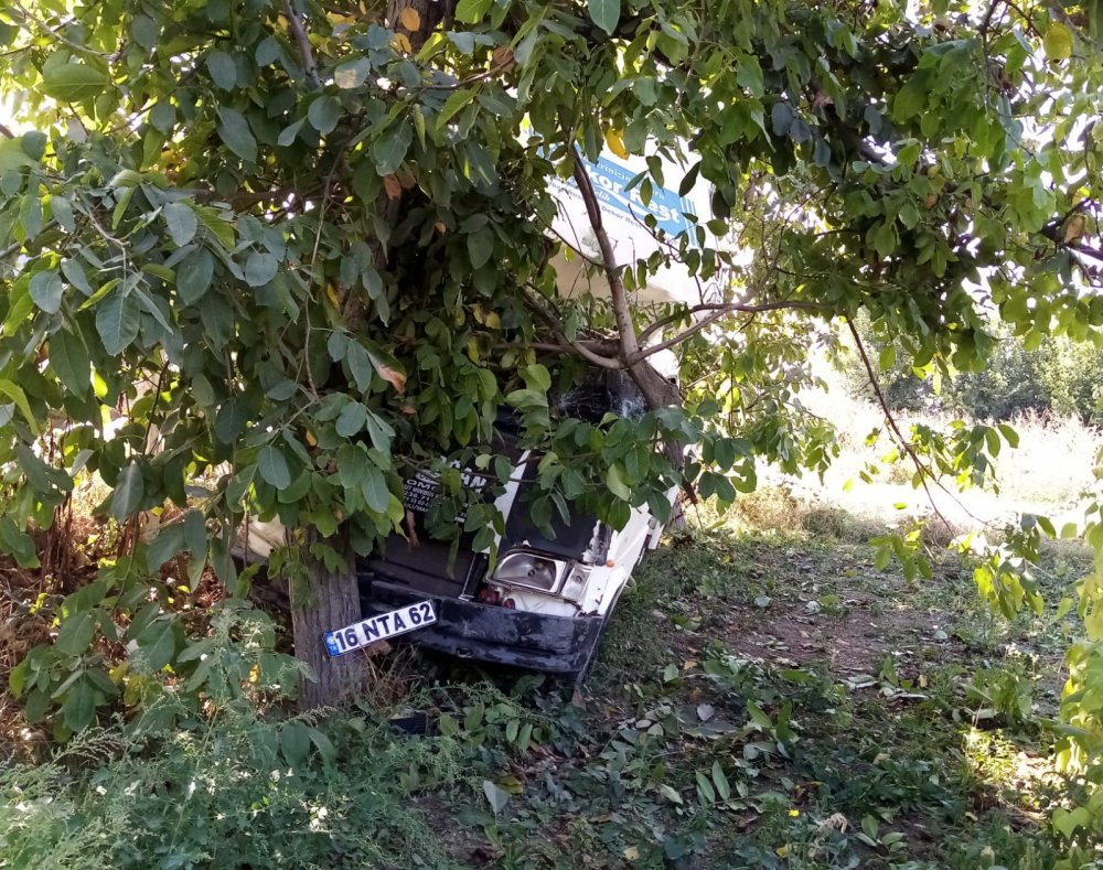 Kontrolden çıkan kamyonet bahçeye daldı