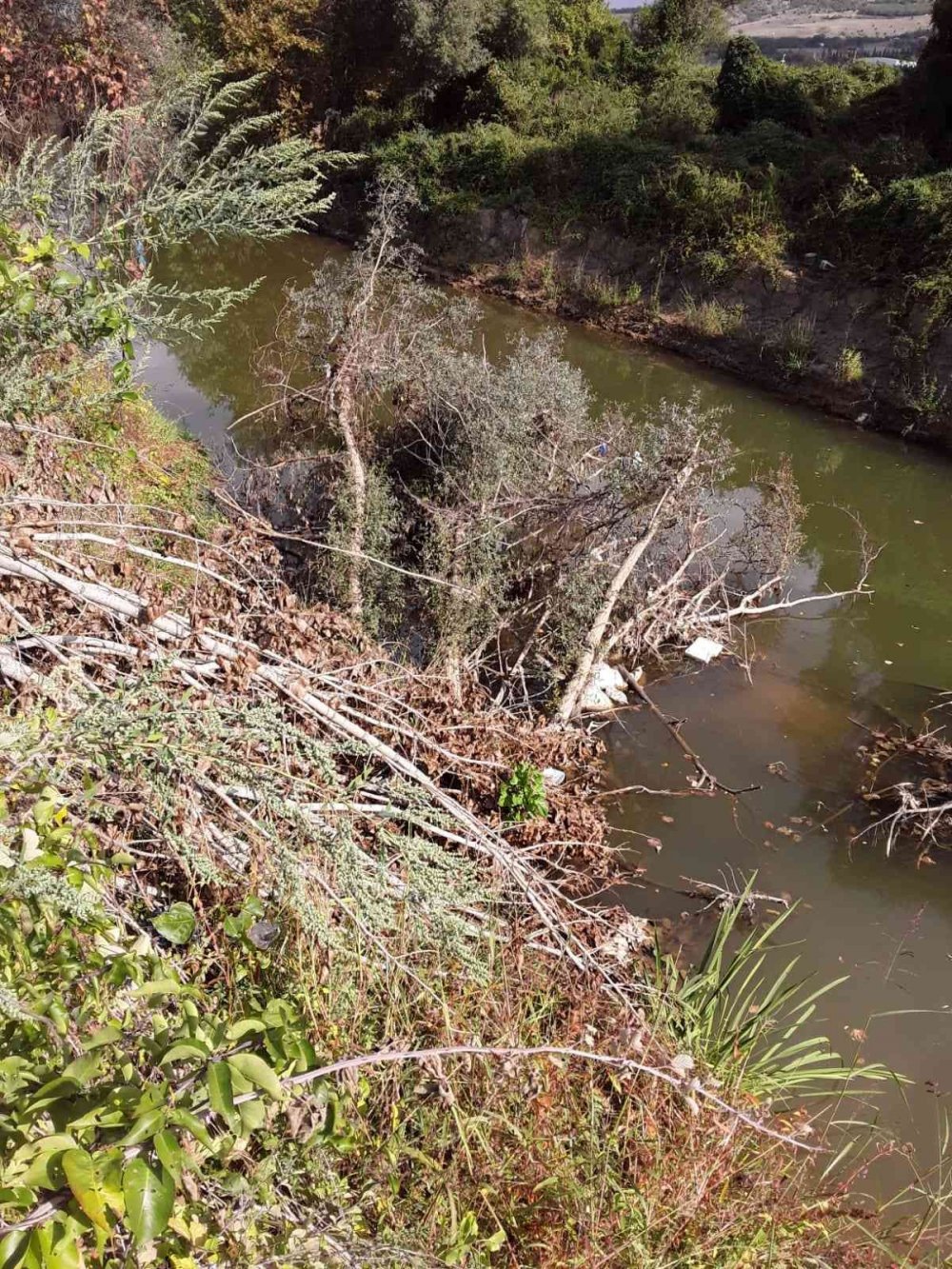 Kontrolden çıkan kamyonet bahçeye daldı