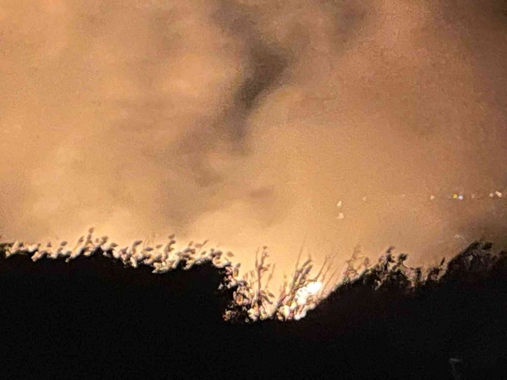 İznik Gölü kıyısında çıkan yangında 20 dönüm alan kül oldu