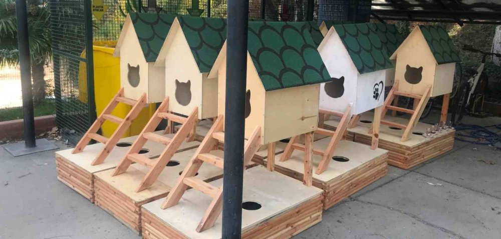 Kedi ve köpeklerin yuvaları hazır