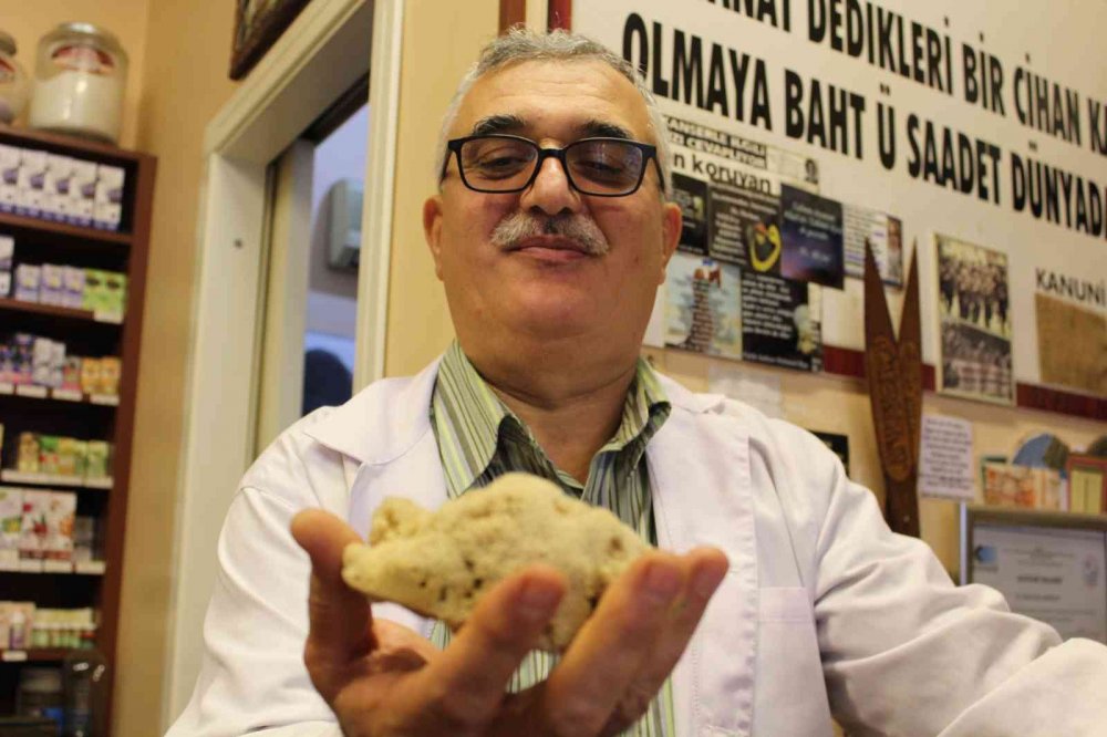 Kilosu 4 bin liraya canlı sünger