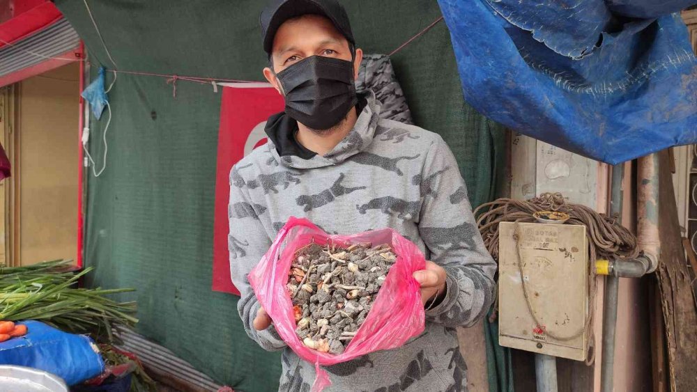 Pazarcı tohumluk soğan aldı, neredeyse yarısı taş çıktı