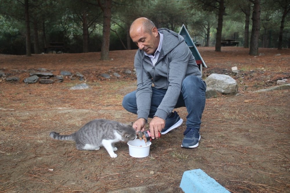 Plastik kapaklar canlara ’hayat’ oldu