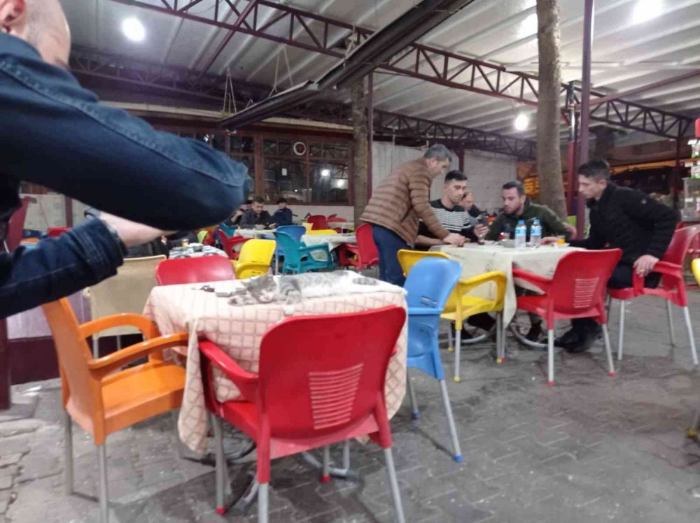 Soğuktan Korunmak İçin Kafeye Misafir Oldu