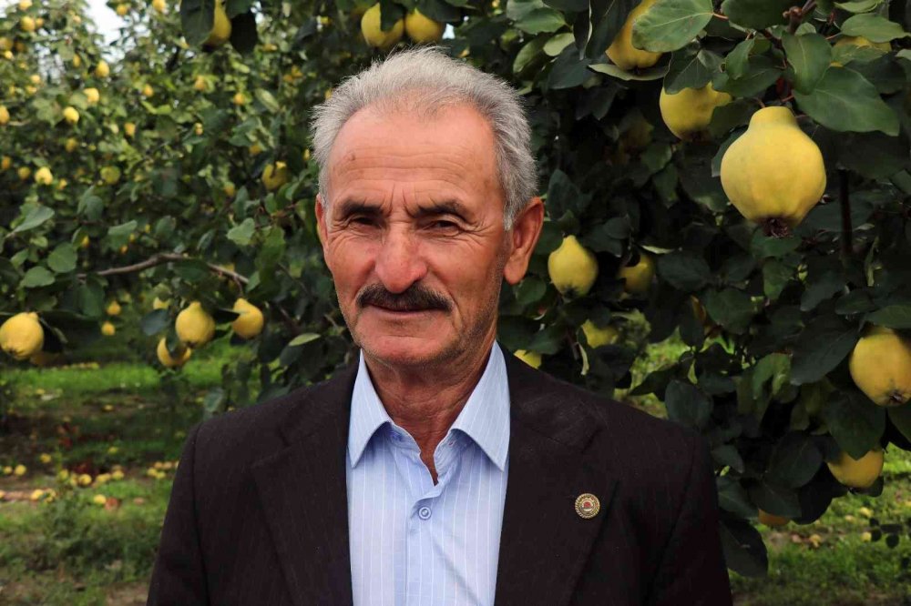 Sakarya’da yetiştiriliyor, dünyada rakibi yok