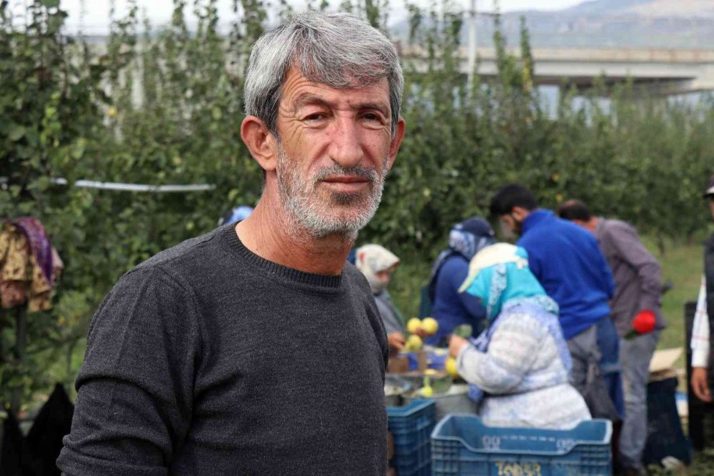 Sakarya’da yetiştiriliyor, dünyada rakibi yok