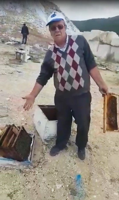 Arıcıların başı, ayılarla dertte