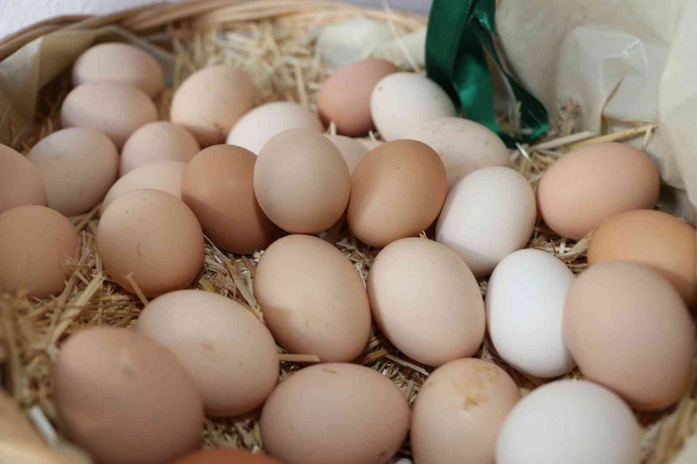 Hobi olarak başladı, şimdi gelir kapısı oldu