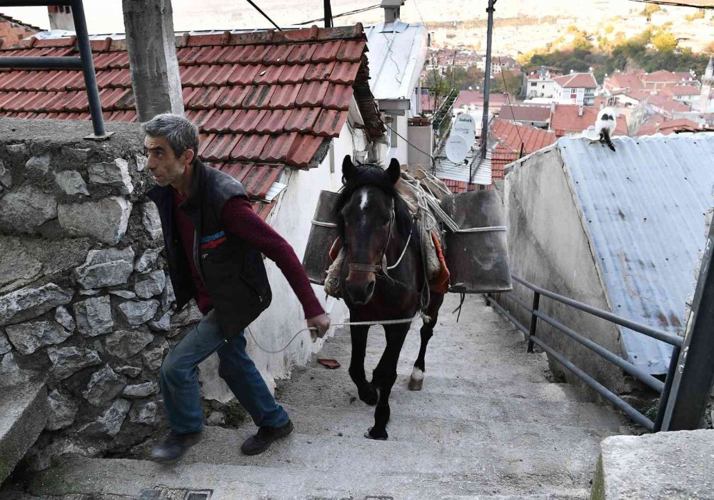 Belediye atla malzeme taşıyıp yol yapıyor