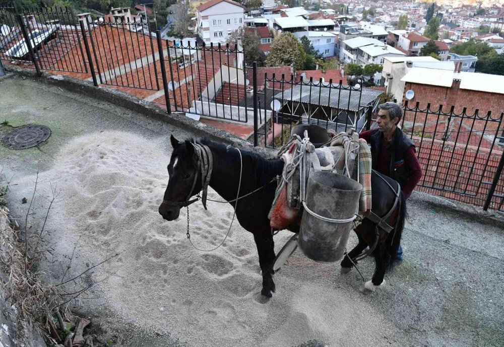 Belediye atla malzeme taşıyıp yol yapıyor