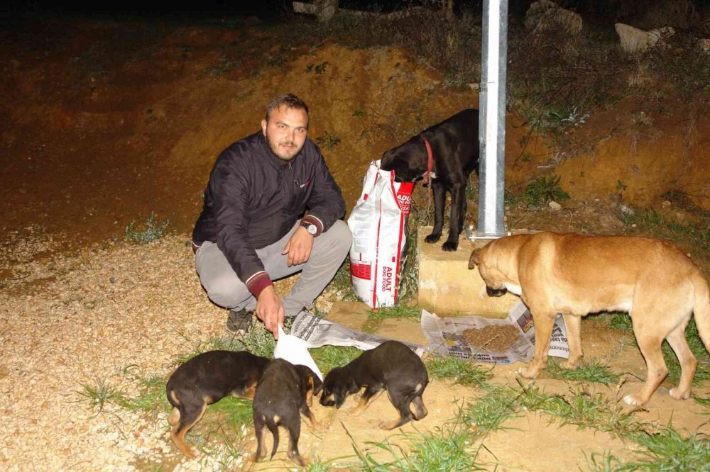 Duyarlı gençler, sokak hayvanlarını unutmadı
