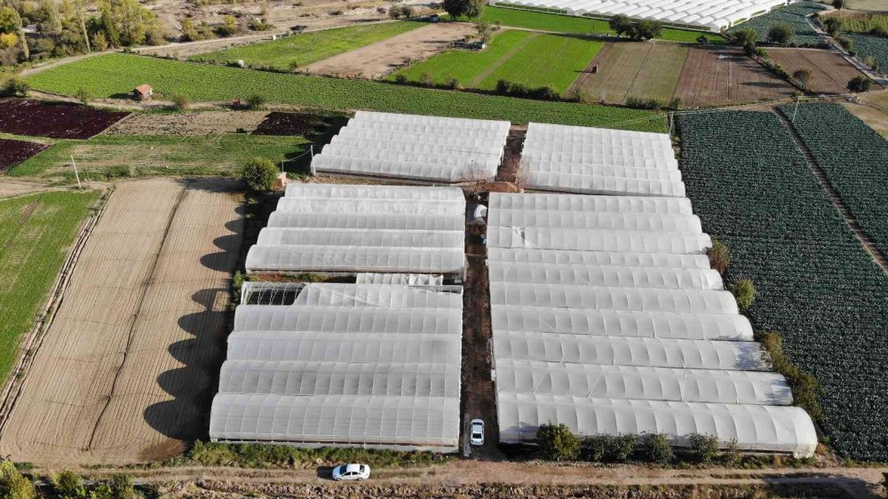 Bu ilçedeki tarla ve seralar Türkiye’yi besliyor