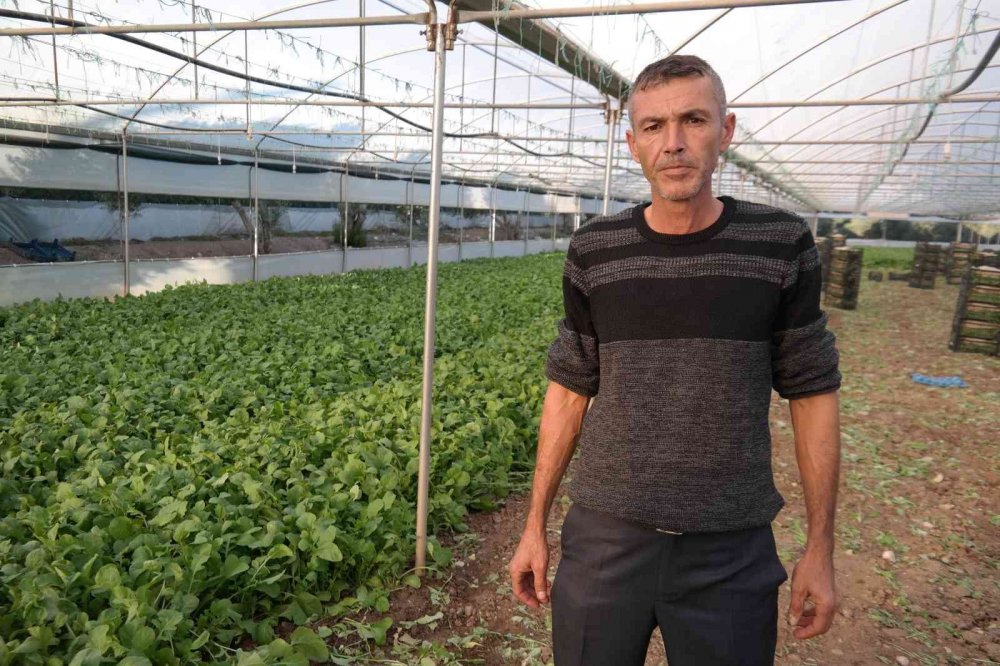 Bu ilçedeki tarla ve seralar Türkiye’yi besliyor