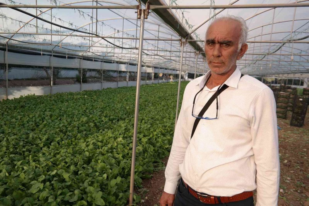 Bu ilçedeki tarla ve seralar Türkiye’yi besliyor