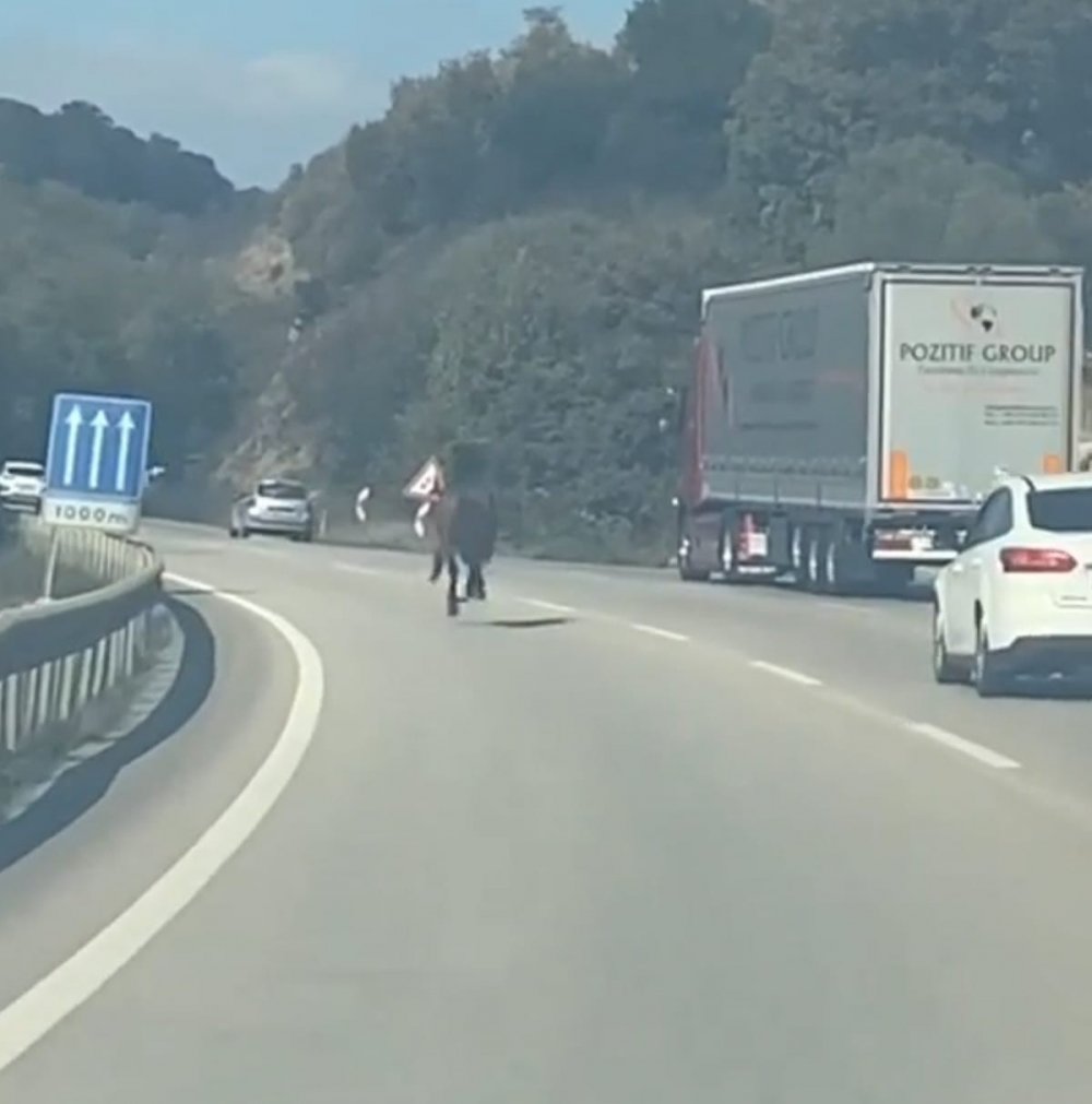Karayolunda dört nala kaçış, trafiği alt üst etti