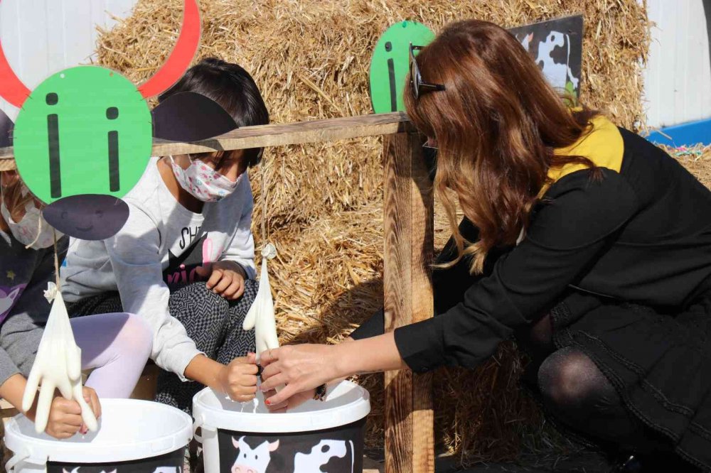 Öğrencilerine ‘İ’ harfini öğretmek için okula inek getirdi