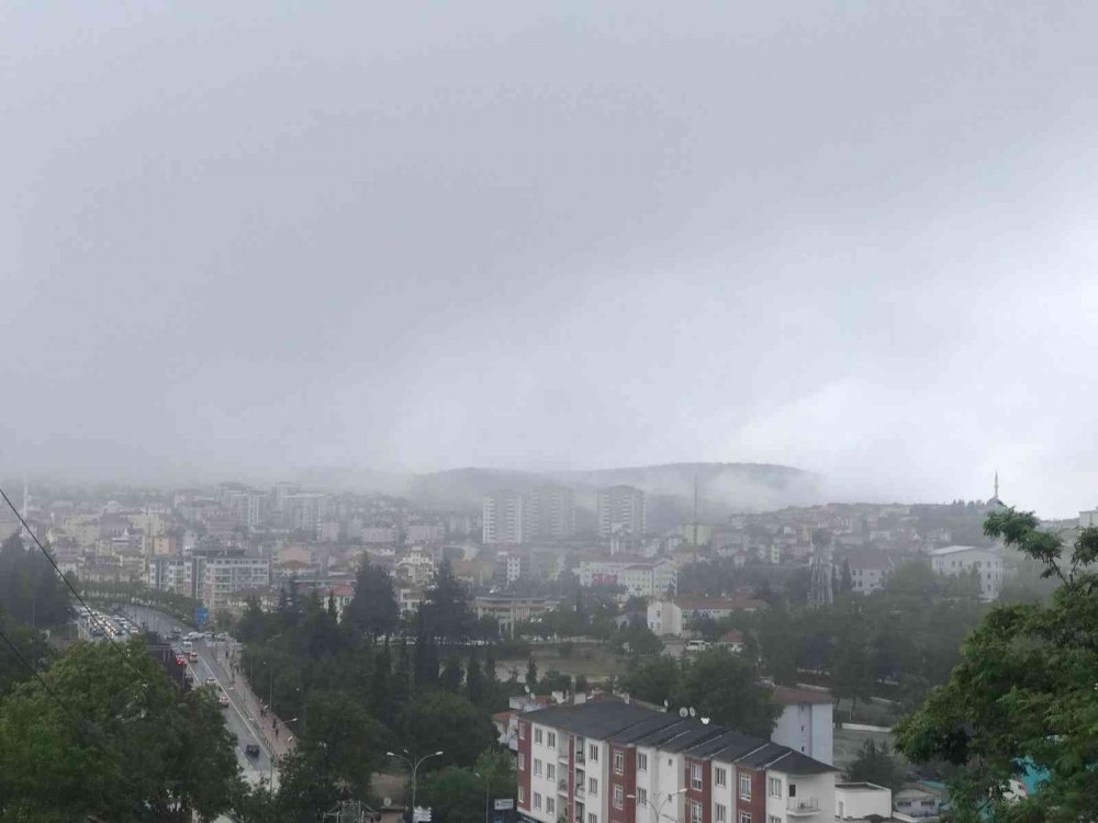 Bilecik’te sis etkili oldu