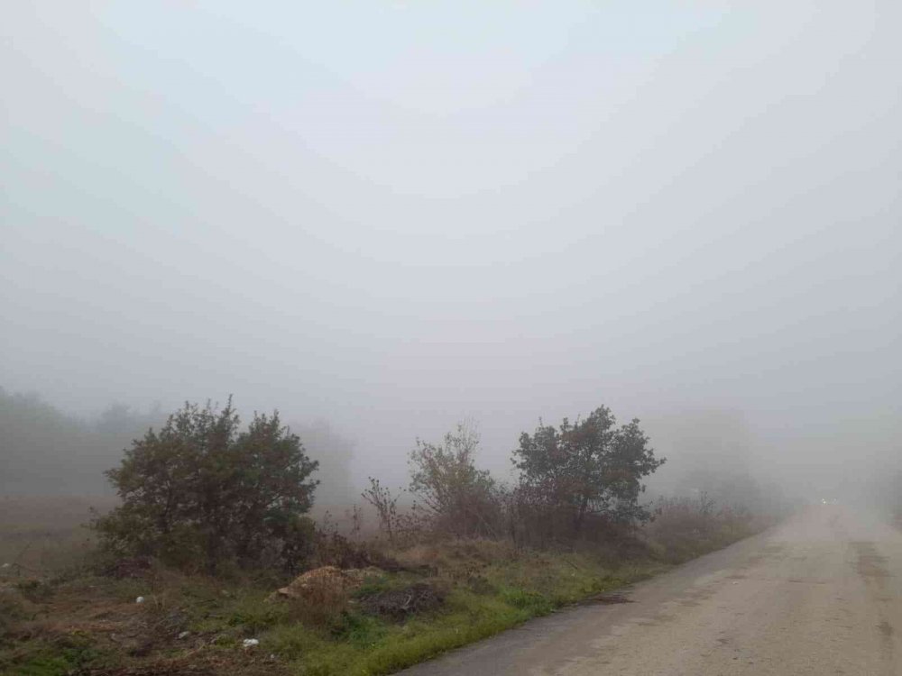 Bilecik’te sis etkili oldu