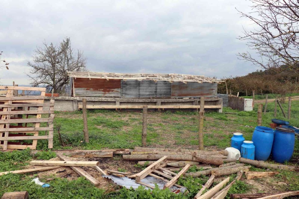 Dolandırdığı yetmedi üstüne para istedi